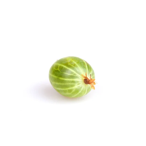 Gooseberry Isolated White — Stock Photo, Image