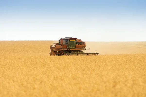 穀物収穫業者は現場での作業を組み合わせて — ストック写真