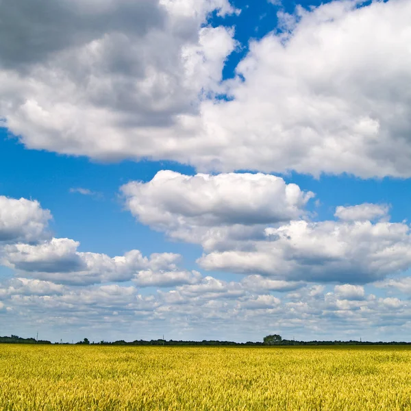 Güzel Manzara Mavi Gökyüzü Beyaz Bulutlar — Stok fotoğraf