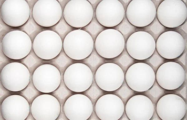 Witte Eieren Geïsoleerd Wit — Stockfoto