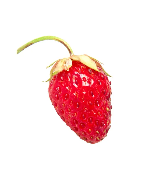 红色草莓在白色上被隔离 — 图库照片