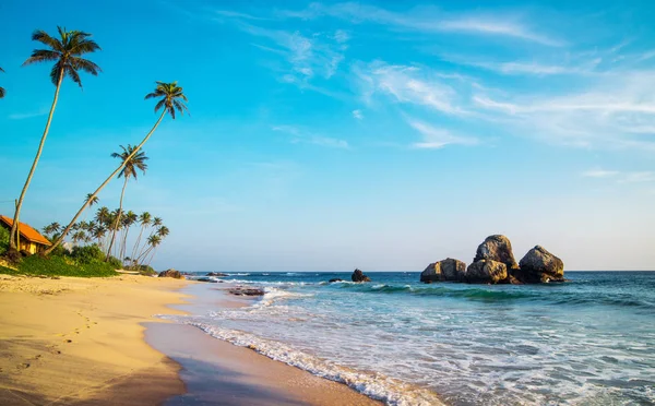 Bărci pe o plajă tropicală, Koggala, Sri Lanka — Fotografie, imagine de stoc