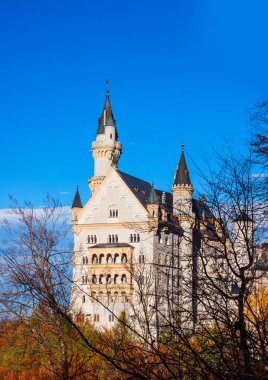 Neuschwanstein Şatosu sonbaharda dönüm noktası Almanya 