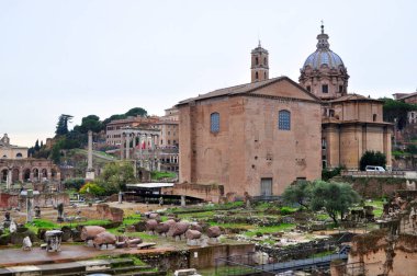 Rome, İtalya - 10 Kasım 2016: Roman Forum Roma İtalya 10 Kasım 2016 üzerinde gelen turist.