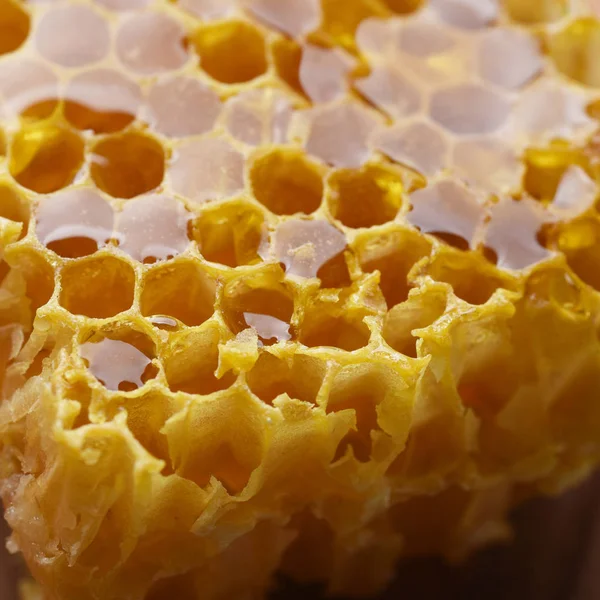Frischer Honig Waben Aus Der Nähe — Stockfoto