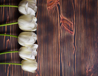 Koyu kahverengi ahşap arka plan üzerinde beyaz laleler dikey satır