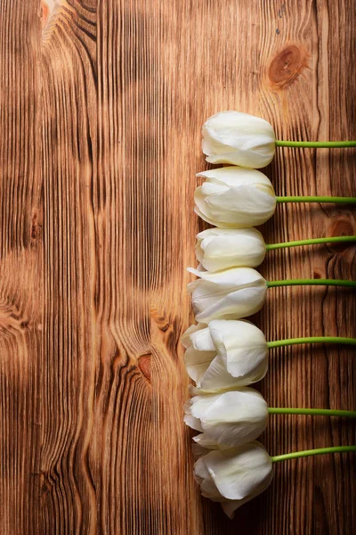 White Tulips Laying Vertical Row Light Brown Wooden Background — Stock Photo, Image