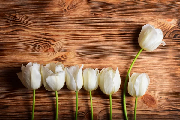 Floral Composition White Tulip Border Wooden Background — Stock Photo, Image