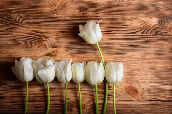 Floral Composition White Tulip Border Wooden Background — Stock Photo, Image