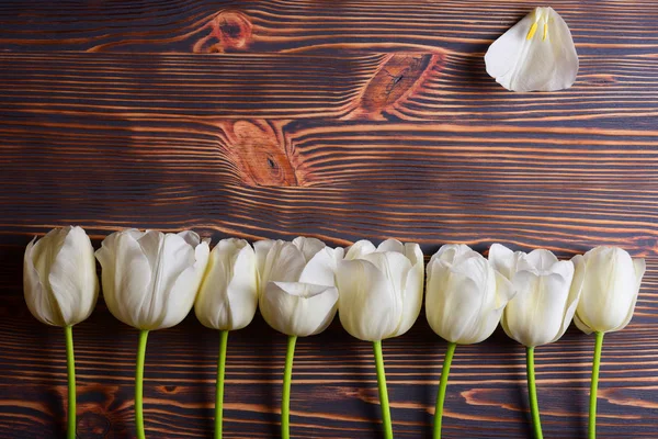 Composición Floral Borde Tulipán Blanco Pétalos Sobre Fondo Madera —  Fotos de Stock