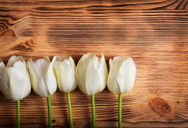 White tulips laying in horizontal row on wooden background