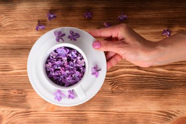 kadın el beyaz fincan güzel pembe bahar çiçekleri tam tutarak yakın çekim fotoğraf