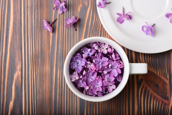 Foto Cerca Taza Blanca Llena Hermosas Flores Púrpuras Mesa Madera — Foto de Stock