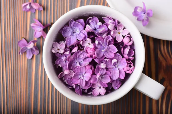 白いコップ一杯の美しい紫色の花のクローズ アップ写真 — ストック写真