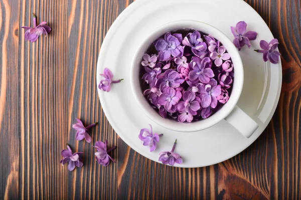 Foto Cerca Taza Blanca Llena Hermosas Flores Rosadas Primavera — Foto de Stock