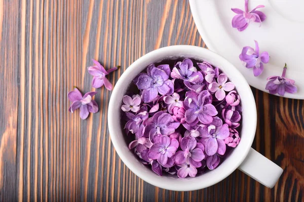 Foto Cerca Taza Blanca Llena Hermosas Flores Rosadas Primavera — Foto de Stock