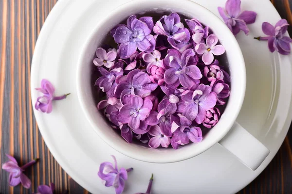 Foto Cerca Taza Blanca Llena Hermosas Flores Rosadas Primavera — Foto de Stock