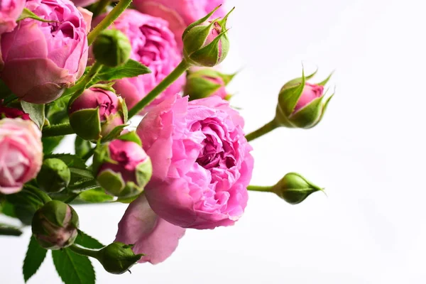 Rózsaszín Rózsa Csokor Elszigetelt Fehér Alapon — Stock Fotó