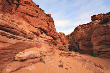 Terk edilmiş bir yerin doğal arka planı