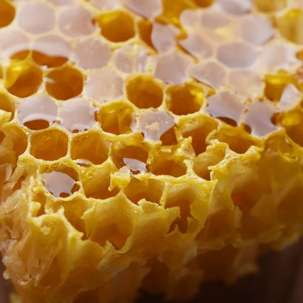 Bio Bienenwaben Auf Holzplatte — Stockfoto