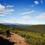 Panoramic view of green mountains,  Carpathians mountain