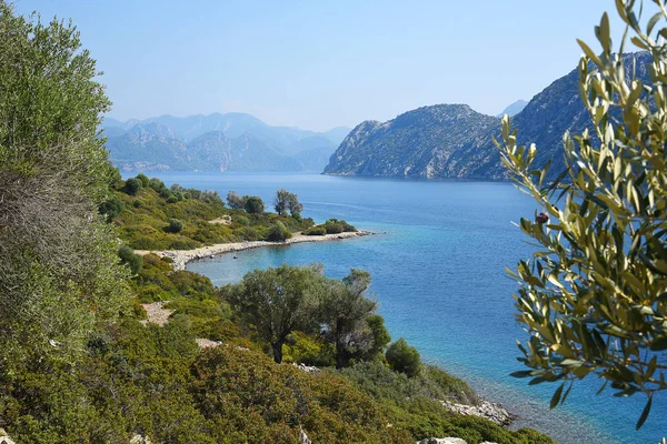 Paisaje Mar Con Montañas Verdes Durante Día — Foto de stock gratis