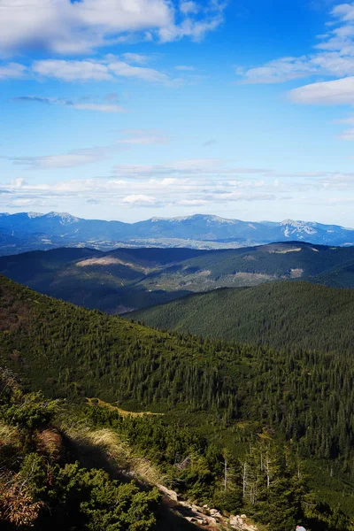 Plimbare Munți Verzi Fundal Natural Munții Carpați — Fotografie de stoc gratuită