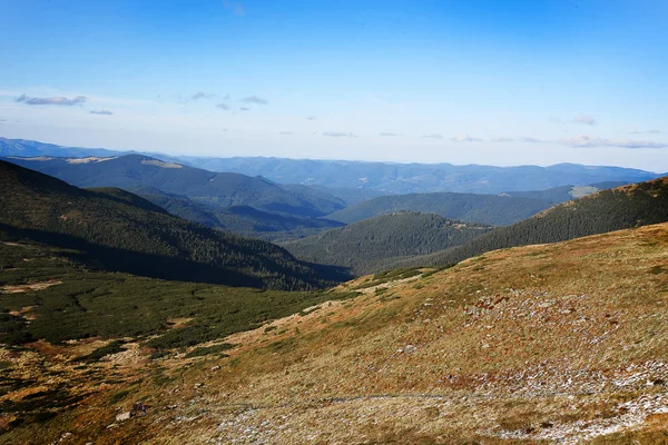 Paesaggio Montagne Coperte Boschi Carpazi Montagna — Foto stock gratuita