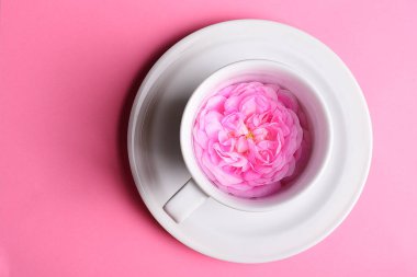 rose in a cup of coffee