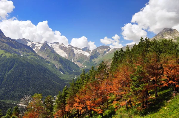 Dombai Paisaje Las Rocosas Región Del Cáucaso Rusia — Foto de stock gratuita