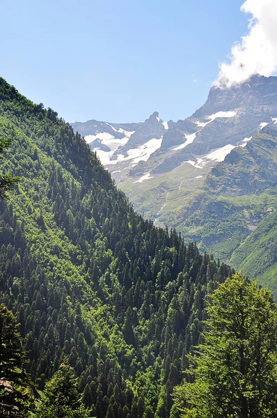 Dombai Het Landschap Van Rockies Kaukasus Rusland — Gratis stockfoto