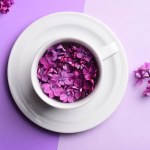 Flores de color lila brillante en taza blanca