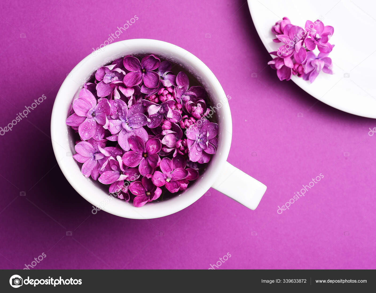 Flores Color Lila Brillante Taza Blanca - Foto de stock gratis © FineShine #339633872 Flores Color Lila Brillante Taza Blanca - Foto de stock gratis © FineShine #339633872