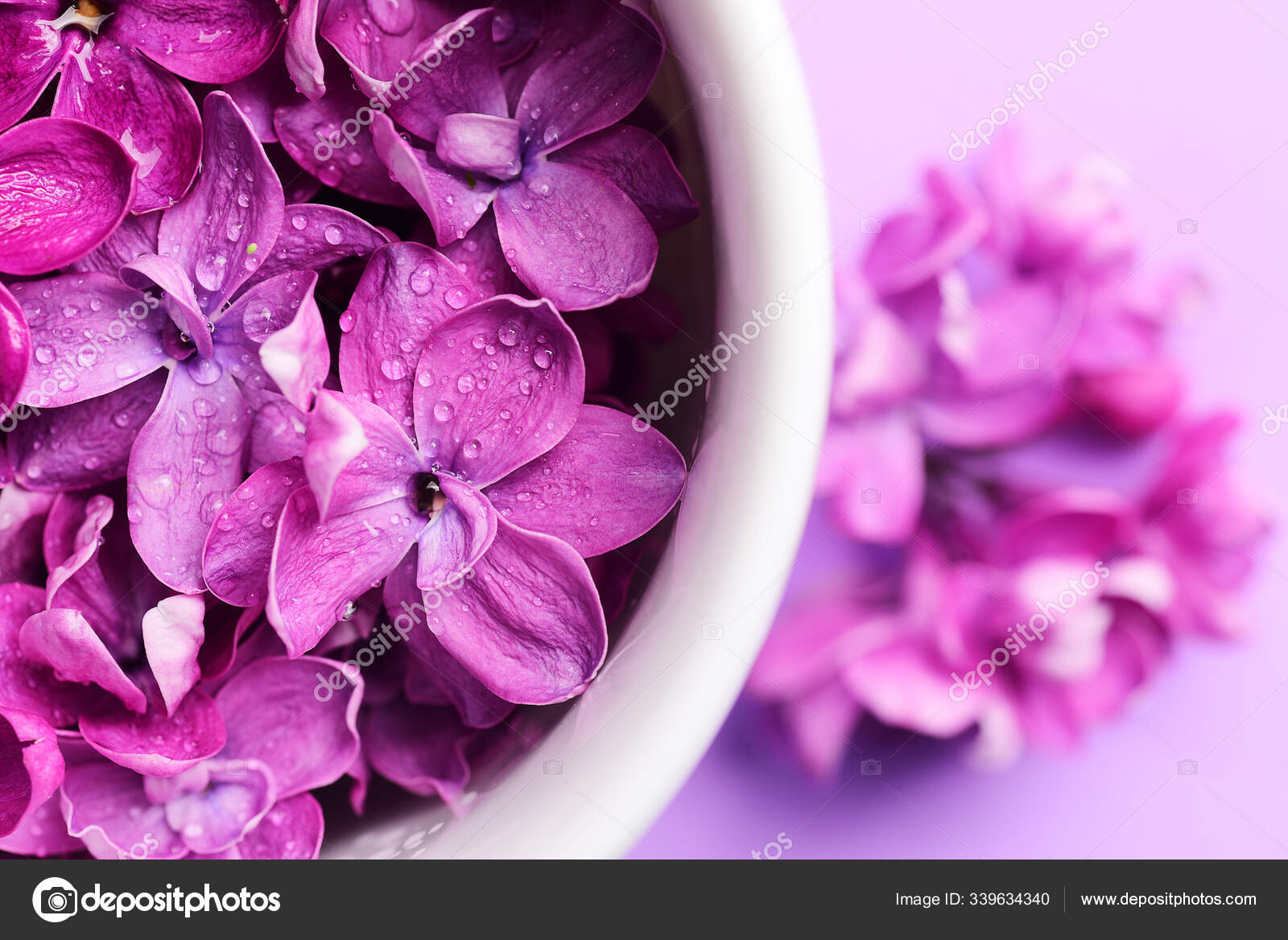 Flores Color Lila Brillante Taza Blanca - Foto de stock gratis © FineShine #339634340 Flores Color Lila Brillante Taza Blanca - Foto de stock gratis © FineShine #339634340