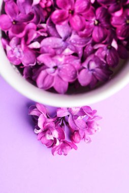 Beyaz bardakparlak leylak çiçekleri