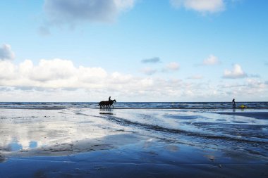 Seascape in cloudy daytime background
