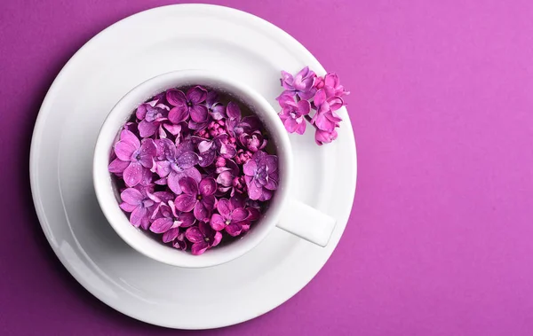 Яскраві Бузкові Квіти Чашці Тарілкою — стокове фото