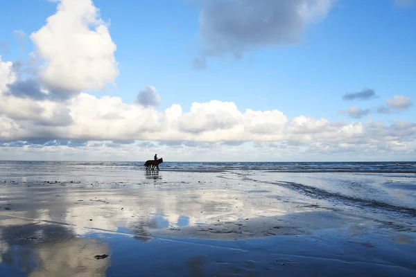 Морской Пейзаж Облачном Дневном Фоне — стоковое фото