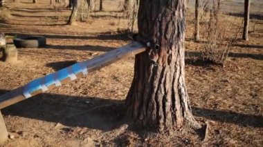 jimnastik ve ağırlık terbiye ormandaki için donatım