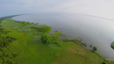 Bitkiler üzerinde kıyıya Plesheevo lake