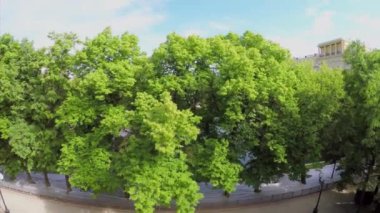 Patriarshy gölet bitki ve evler arasında ile Park