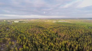 Orman ve ufukta cityscape 