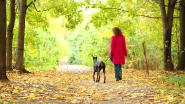 Mutlu kadın ile köpek parkta yürüyor