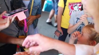 Böcek elinde turist olarak Ulusal Doğa Tarihi Müzesi