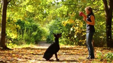 kadın köpeğini sonbahar Park çalış