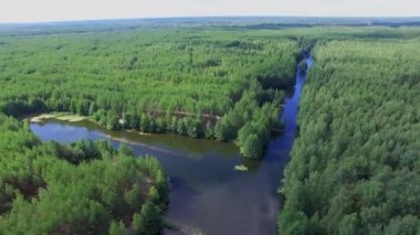 Nehir orman arasında ile Panorama 