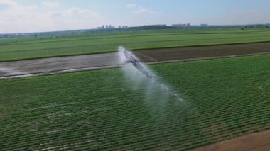 Çiftlik alanı güneşli gün dökme sırasında