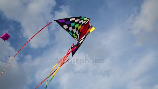 Stijgende bright kite in blauwe hemel — Stockvideo