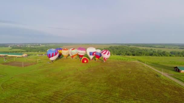 Színes hőlégballonok füves területen — Stock videók