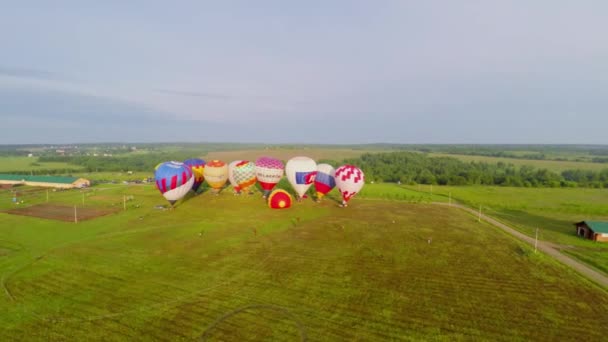 Balões de ar coloridos no campo de grama — Vídeo de Stock